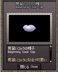 ss-051804.gif